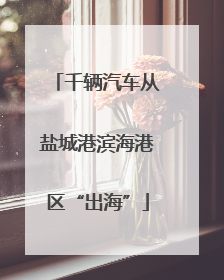千辆汽车从盐城港滨海港区“出海”