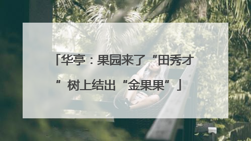 华亭：果园来了“田秀才”树上结出“金果果”