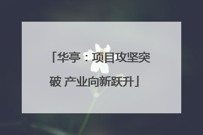 华亭：项目攻坚突破 产业向新跃升