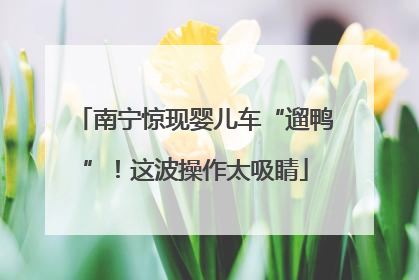 南宁惊现婴儿车“遛鸭”！这波操作太吸睛