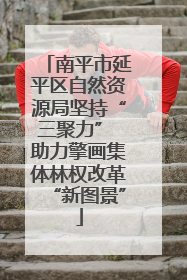 南平市延平区自然资源局坚持“三聚力” 助力擎画集体林权改革“新图景”