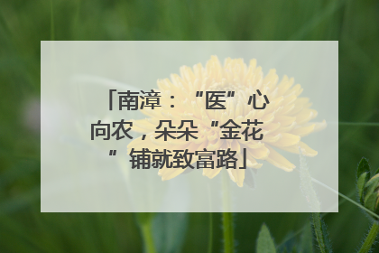 南漳：“医”心向农，朵朵“金花”铺就致富路