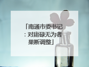南通市委书记：对庸碌无为者果断调整