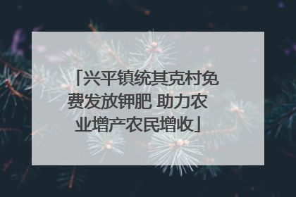 兴平镇统其克村免费发放钾肥 助力农业增产农民增收