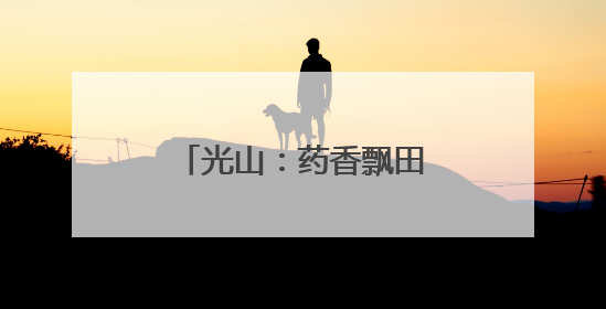 光山：药香飘田野 铺就富民路
