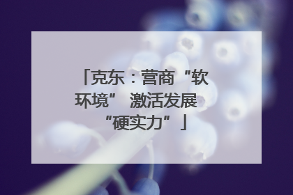 克东：营商“软环境” 激活发展“硬实力”