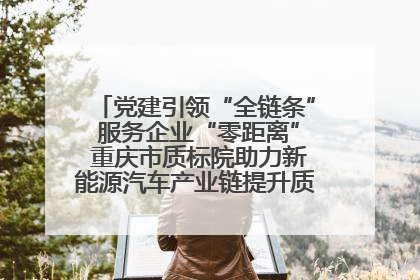 党建引领“全链条” 服务企业“零距离” 重庆市质标院助力新能源汽车产业链提升质量管理水平