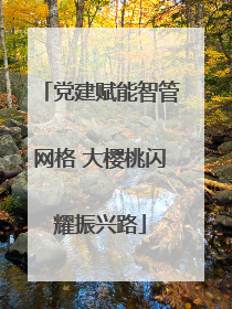 党建赋能智管网格 大樱桃闪耀振兴路