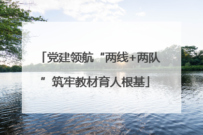 党建领航“两线+两队”筑牢教材育人根基
