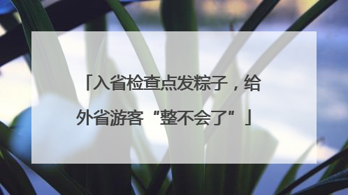 入省检查点发粽子，给外省游客“整不会了”