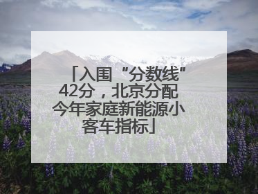 入围“分数线”42分，北京分配今年家庭新能源小客车指标