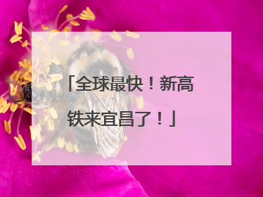 全球最快！新高铁来宜昌了！