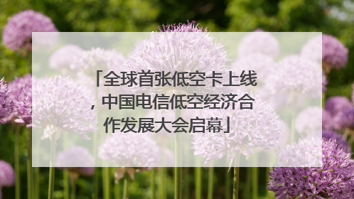 全球首张低空卡上线，中国电信低空经济合作发展大会启幕