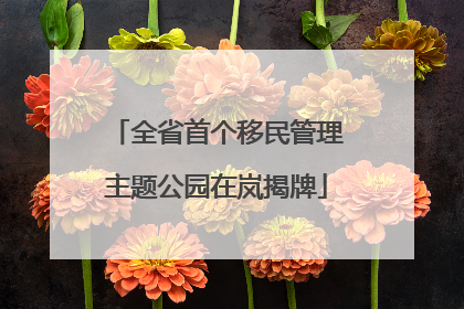 全省首个移民管理主题公园在岚揭牌