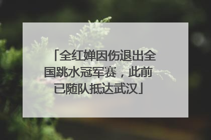 全红婵因伤退出全国跳水冠军赛，此前已随队抵达武汉