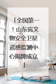 全国第一！山东省文物安全卫星遥感监测中心揭牌成立