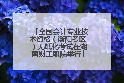全国会计专业技术资格（衡阳考区）无纸化考试在湖南财工职院举行