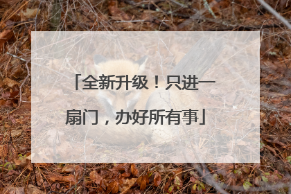 全新升级！只进一扇门，办好所有事