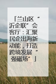 兰山区“沂企联”会客厅：汇聚民企出海新动能，打造跨境发展“强磁场”
