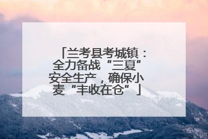 兰考县考城镇：全力备战“三夏”安全生产，确保小麦“丰收在仓”