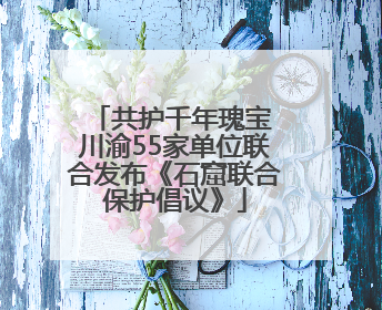 共护千年瑰宝 川渝55家单位联合发布《石窟联合保护倡议》
