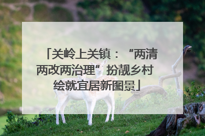 关岭上关镇：“两清两改两治理”扮靓乡村 绘就宜居新图景