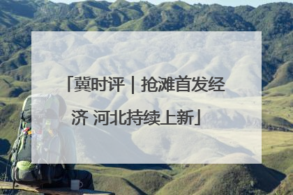 冀时评｜抢滩首发经济 河北持续上新