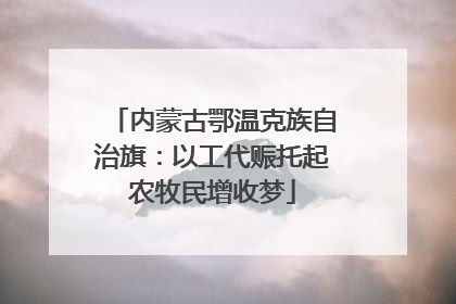 内蒙古鄂温克族自治旗：以工代赈托起农牧民增收梦