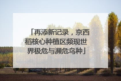 再添新记录，京西稻核心种植区频现世界极危与濒危鸟种