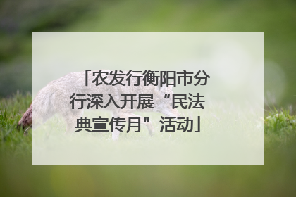 农发行衡阳市分行深入开展“民法典宣传月”活动