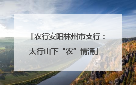 农行安阳林州市支行：太行山下“农”情涌