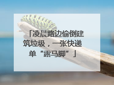 凌晨路边偷倒建筑垃圾，一张快递单“露马脚”