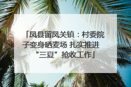 凤县留凤关镇：村委院子变身晒麦场 扎实推进“三夏”抢收工作