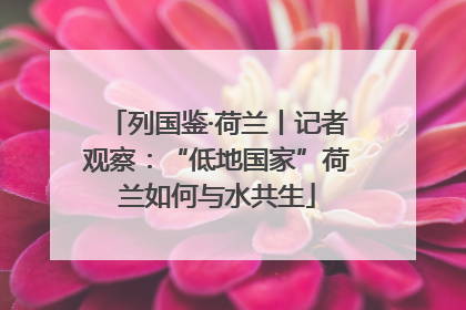 列国鉴·荷兰丨记者观察：“低地国家”荷兰如何与水共生