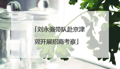 刘永强带队赴京津冀开展招商考察