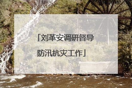 刘革安调研督导防汛抗灾工作