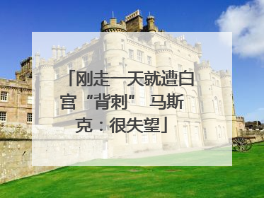 刚走一天就遭白宫“背刺” 马斯克：很失望