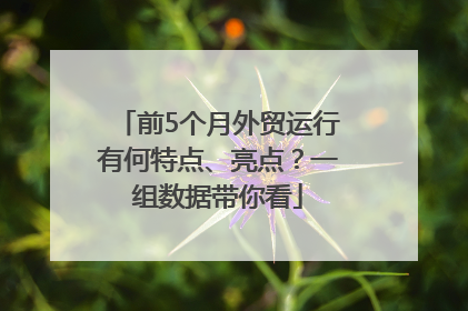 前5个月外贸运行有何特点、亮点？一组数据带你看