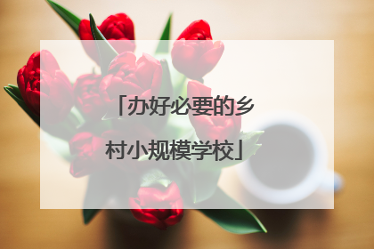 办好必要的乡村小规模学校