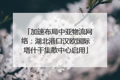 加速布局中亚物流网络：湖北港口汉欧国际塔什干集散中心启用
