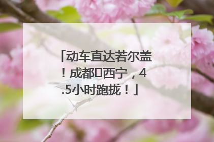 动车直达若尔盖！成都⇄西宁，4.5小时跑拢！