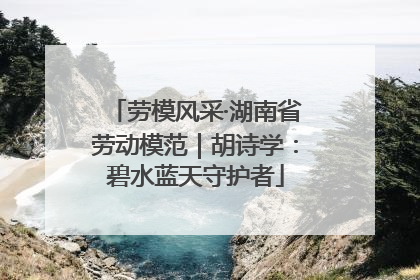 劳模风采·湖南省劳动模范｜胡诗学：碧水蓝天守护者