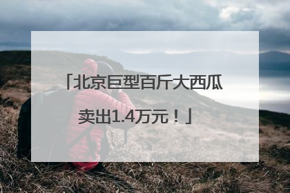 北京巨型百斤大西瓜卖出1.4万元！