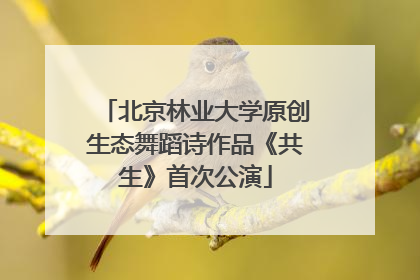 北京林业大学原创生态舞蹈诗作品《共生》首次公演