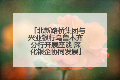 北新路桥集团与兴业银行乌鲁木齐分行开展座谈 深化银企协同发展