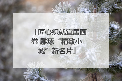 匠心织就宜居画卷 雕琢“精致小城”新名片