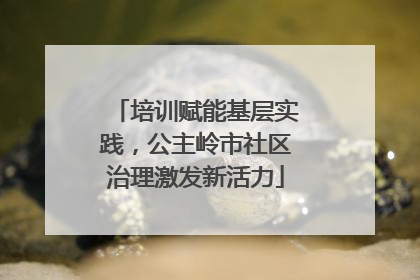 培训赋能基层实践，公主岭市社区治理激发新活力