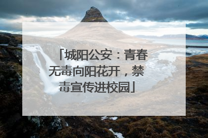 城阳公安：青春无毒向阳花开，禁毒宣传进校园