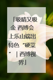 吸睛又吸金 西博会上乐山端出特色“硬菜”｜西博视界
