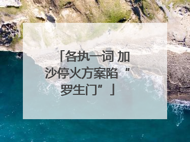 各执一词 加沙停火方案陷“罗生门”